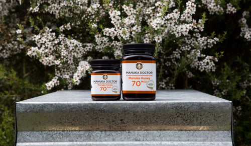 Manuka Honey Survey: Why you take Manuka Honey